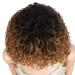 D but Short Curly Ombre Wig with Pony Curl Fringe - 12-Inch Human-Like Wig for Women (TT1B/C30) - Brown with Dark Root - 120g - Buy Online on GoSupps.com