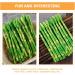 ifundom 50 Pcs Simulated asparagus ornaments food display show ornament kitchen food decor faux veggies Realistic vegetables artificial asparagus Educational Props pvc bouquet cupboard - Buy Online on GoSupps.com