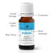 Buy Plant Therapy KidSafe Sweet Dreams Essential Oil Blend 10 mL | 100% Pure Undiluted & Therapeutic Grade - International Shipping Available - Buy Online on GoSupps.com