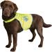 Trixie XS Neon Yellow Dog Safety Vest - Reflective Adjustable Warning Vest for Night Visibility - Easy Care Velcro Fastener - Model 30080 - Buy Online on GoSupps.com