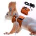 Squirrel traction rope belt anti-bite chain rope adjustable vest small animal dishes with a leash hamster racing mice rat mouse ferret chinchilla small animals brown