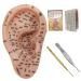 Earred acupuncture -KIT soft ear seed kit with 7.5 inch earmodel ear stains earstream tweezers probe pin ear book picture acupuncture ear seeds 1