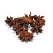 Slofoodgroup Whole Star Anise - For Cooking, Pickling and Spice Mixes - 2 Ounces 2 Ounce (Pack of 1)