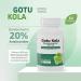 Nutra Nutrition Gotu Kola 400mg Capsules 20% Asiaticosides Standardized Centella Asiatica Extract Supports Circulation, Brain & Cognitive Function 60 Softgels - Buy Online on GoSupps.com