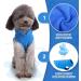 PETCARE Blue XL Small Dog Sweater - Fleece Vest with Leash O-Ring for Small Dogs & Cats - Winter Warm Pet Pullover Coat for Chihuahua & Shih Tzu - Puppy Clothes & Costume (17-28 lbs) - Buy Online on GoSupps.com