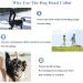 ILEPARK Dog Halter - Adjustable Padded Collar for Large Dogs - Prevents Pulling - Green - Buy Online on GoSupps.com