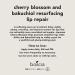 Boscia Cherry Blossom and Bakuchiol Lip Repair | Resurfacing Treatment 0.45 fl. oz - Buy Online on GoSupps.com