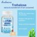 L-Lysine Gummies 1000 mg | Boost Immune & Oral Health | Vegan Gluten-Free Berry Flavor | Non-GMO | 60 Count - Buy Online on GoSupps.com