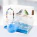 Tfwadmx Bird Cage Bath Tub for Small Birds - Parrot, Canary, Budgies, Cockatiel, Lovebirds - Buy Online on GoSupps.com