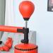 Soozier Boxing Bag Freestanding Punch Bag with Reflex Bar  Gloves  Rotating Flexible Arm  Speed Ball  Waterable Base for Adult & Kids - Buy Online on GoSupps.com