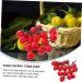 Ciieeo 4pcs String Simulated Cherry Tomatoes Kids Educational Toy Simulation Realistic Foam Food Mini Toys Decorative Cherry Tomatoes Faux Pvc Red Child Household Small Tomatoes Redx4pcs 18X16CMx4pcs - Buy Online on GoSupps.com