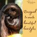 Parcelona French Twist n Clip Bow Tortoise Shell Celluloid Acetate Hair Clips (Set of 2) - Buy Online on GoSupps.com