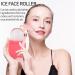 Facial Skincare Ice Roller Mold - Enhance Glow & Reduce Fine Lines | Oval Pink Set for Radiant Skin - Buy Online on GoSupps.com