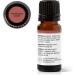 Buy 100% Pure Frankincense Carterii Essential Oil - 10 mL | Natural Aromatherapy & Therapeutic Grade | Worldwide Shipping - Buy Online on GoSupps.com