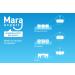 Interdental Brushes 0.4mm by Mara Expert | ISO 0 Extra Fine | 6 Pack of Pink Interdental Brushes with Mint Taste | Ideal for Oral Care | Dentist Recommended - Buy Online on GoSupps.com