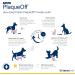 ProDen PlaqueOff Powder 420g - Dental Care for Cats and Dogs - Buy Online on GoSupps.com