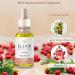 Lunatic Elixir Neck and Face Serum - Hydrating Acne Soothing Anti-Aging Serum with Olive Oil Hemp Oil & Rosehip Oil - 1 oz/30mL - International Shipping Available - Buy Online on GoSupps.com