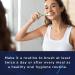 GuruNanda Mentadent Manual Toothbrush for Adults & Kids - Extra Cleaning with Soft Bristles for White Teeth Family Pack of 4 - Buy Online on GoSupps.com