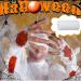 Halloween Show Gauze Roll 2-Pack White Gauze Wrap for Cosplay Injury Props & Acting | Stiff Elastic Bandage 5m - Buy Online on GoSupps.com