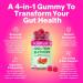 Belli Welli Fiber Gummies Supplement with Added Probiotics Collagen and Electrolytes for Regularity and Bloat Relief Watermelon 120 Count - Buy Online on GoSupps.com