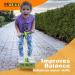 WALIKI Foam Pogo Jumper | Dinosaur Hopper Toy for Kids 4 Years Old | Green - Buy Online on GoSupps.com