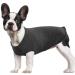 Hjumarayan dog sweater Small dogs - thin dog sweater washable dog sweater elastic sweater dog striped dog shirt dog sweaters sweaters for chihuahua yorkshire terrier (black XS) xs black