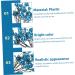 Zerodeko 6pcs Berry Bunch Cuttings Artificial Red Berry Stems Green Decor Wedding Decorations Artificial Berry Twig Stem Holly Berries for Crafts Ornament Plastic Christmas Plant Blue 30x10cm - Buy Online on GoSupps.com