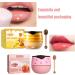 Lip Sleeping Masks Strawberry Lip Mask And Lip Sleeping Mask Honey Moisturizing Lip Balm Set for Dry Chapped Peeling Cracked Lips Lighten Dark Lip Color Wrinkle Lip Repair Protection Lip Balm Set - Buy Online on GoSupps.com