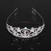 FRCOLOR 30th Birthday Tiara Bling Rhinestone Tiara 30th Birthday Crown for Hair Decoration - Buy Online on GoSupps.com