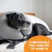 Bencmate Inflatable Dog Collar for Recovery | Leak Protection for Dogs & Cats | Neck Size 12-18 | Comfort & Views Unobstructed - Large Gray - Buy Online on GoSupps.com