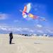 Shop Mints Colorful Life Rainbow Phoenix Kite - Easy to Fly Large Beach Kites for Kids & Adults | International Shipping Available - Buy Online on GoSupps.com