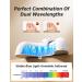 Nail Fungus Light Device for Fast Home Treatment | Repair Discolored Nails & Treat Onychomycosis Safely - International Shipping Available - Buy Online on GoSupps.com