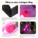 Buy Laroo Waterproof LED Light Band for Dogs & Cats - Bright Easy Attach Flashing Collar Light in Pink - Buy Online on GoSupps.com