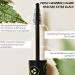 Sante Natural Cosmetics Black Mascara - Vegan Formula with Organic Cucumber - Full Volume Eyelashes | 12 ml - Buy Online on GoSupps.com