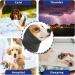 Comfortable Dog Neck Warmers & Ear Protection - Soothing Noise-Reducing Winter Gear for Small Dogs (Blue Gray) - Buy Online on GoSupps.com