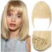 Clip in Fringe Clip in Bangs Hair Blunt Bangs Clip In Human Hair Extension Clip-In Fringe Hair Bangs Neat Bang (Color : Side Dark Brown) - Buy Online on GoSupps.com