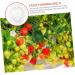 Gogogmee 5pcs Fruit Shaping Mold Plastic Fruit Cucumber Shaping Tool Vegetable Shaping Tool Garden Tools - Buy Online on GoSupps.com