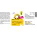 Raab Vitalfood MSM Capsules - Highly Pure Methylsulfonylmethane with Vitamin C | 200 Vegan Capsules for Optimal Health - Buy Online on GoSupps.com