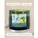 Eucalyptus Bergamot Candle - Large 3 Wick Aromatherapy Soy Candle for Stress Relief | Refreshing 15.8 oz Decorative Candle for Home Relaxation - Buy Online on GoSupps.com
