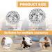 AEAEAN 6-Piece Magnetic Hedgehog Hand Massage Balls - Relieve Muscle Fatigue & Promote Blood Circulation (32mm/47mm) - Buy Online on GoSupps.com