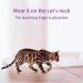 CJHZQYY Rechargeable Laser Pointer Collar for Cats Wearable Automatic Cat Laser Collar Toy for Indoor Kittens & Cats Electric Cat Collar Smart Toy Pet Exercise Toys (Black) - Buy Online on GoSupps.com