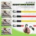 Magshion Ankle Resistance Bands - Adjustable Leg Bands for Women's Hip Fitness Training - 4 Levels of Resistance for Effective Workouts - Buy Online on GoSupps.com