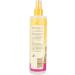 Burt's Bees Waterless Dog Shampoo - Apple & Honey, 10 fl oz | Natural & Effective Pet Care - Buy Online on GoSupps.com