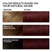 Dark Red Wine Instant Hair Color Shampoo - Herbal 3-in-1 Dye for Gray Hair | Easy & Long-Lasting | 16.90 Fl Oz - Buy Online on GoSupps.com
