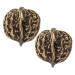 Rorpoir 2st Hand Exercise Balls for adult Chinese walnut Decoration Chinese walnuts Chinese decor Chinese balls Chinese ball brass