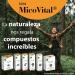 100% Natural Micovital CHAGA LIQUID. 50 ml. - Buy Online on GoSupps.com