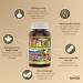 Herba Organic Maca for Men & Women - 200 Capsules | 100% Organic Gelatinized Maca Root | 500mg Peruvian Yellow Maca per Vegetable Capsule | Made in Canada - Buy Online on GoSupps.com