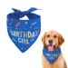 Birthday dog hollow dog birthday bandana scarf set dog birthday party accessories dog bandana for small medium and large (blue tall)