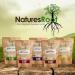 Organic Lion's Mane Mushroom Powder 100g - Natures Root | Pure and Potent Supplement - Buy Online on GoSupps.com