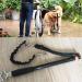 Wefaner Hands-Free Dog Bicycle Exerciser Leash - Enjoy Cycling with Your Pet - Buy Online on GoSupps.com